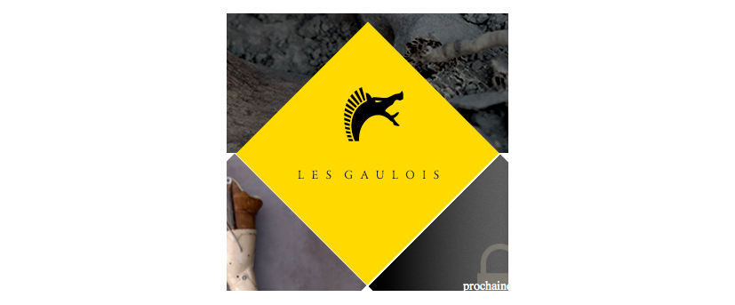 Logo_Les_Gaulois