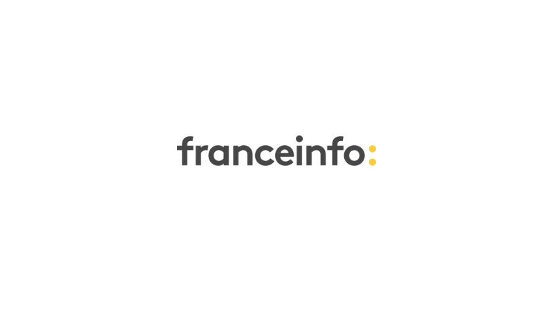 Franceinfo Nouveau Logo Logonews